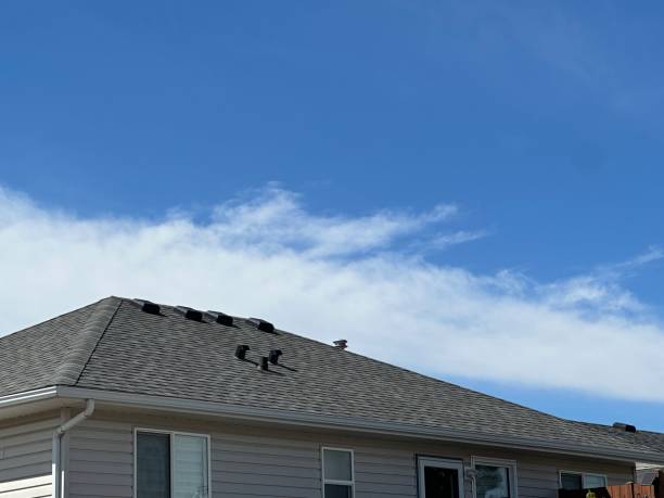 Best Roof Maintenance and Cleaning  in Red Hill, SC